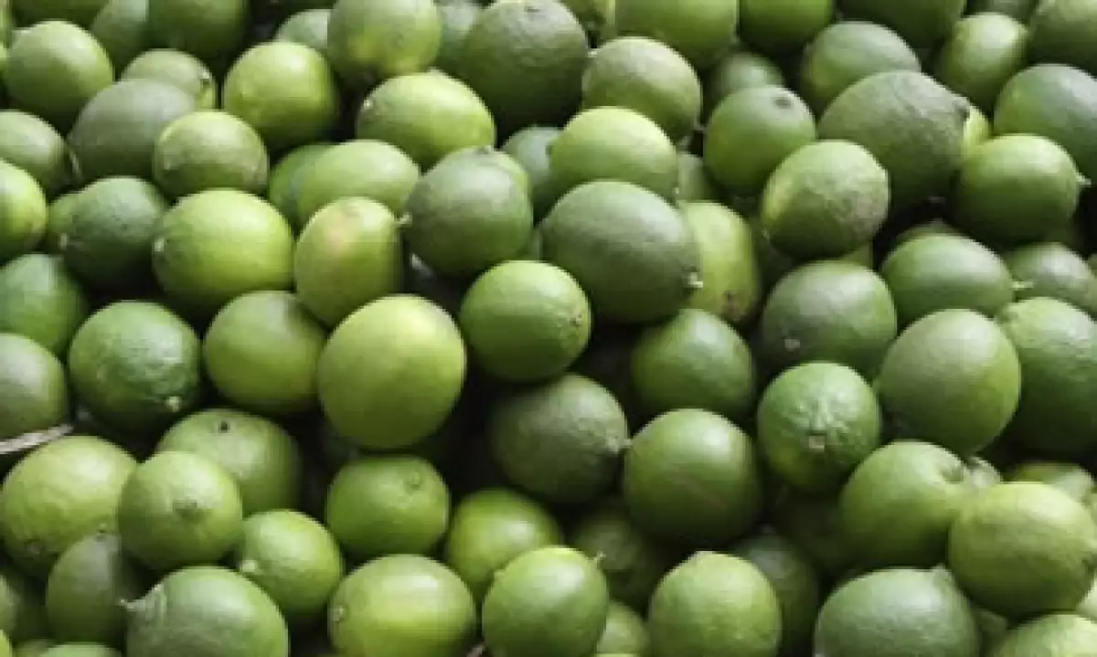 El precio del limón bajará en abril, según las autoridades. (Foto: Getty Images)