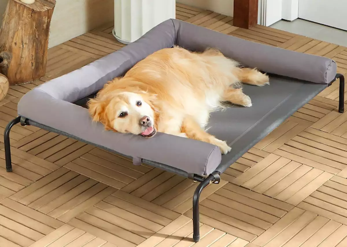 Las camas elevadas son ideales para los perros de talla grande.