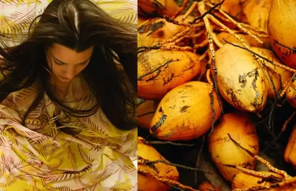 Túnica, Beach Couture para Bloom. En la página opuesta, cocos, Punta Allen, Riviera Maya.