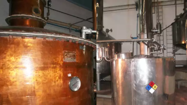 Tequila 7