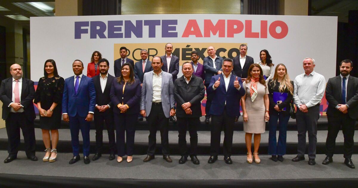 Frente Amplio perfila postular a hombres en Yucat&aacute;n, Puebla, Veracruz y CDMX