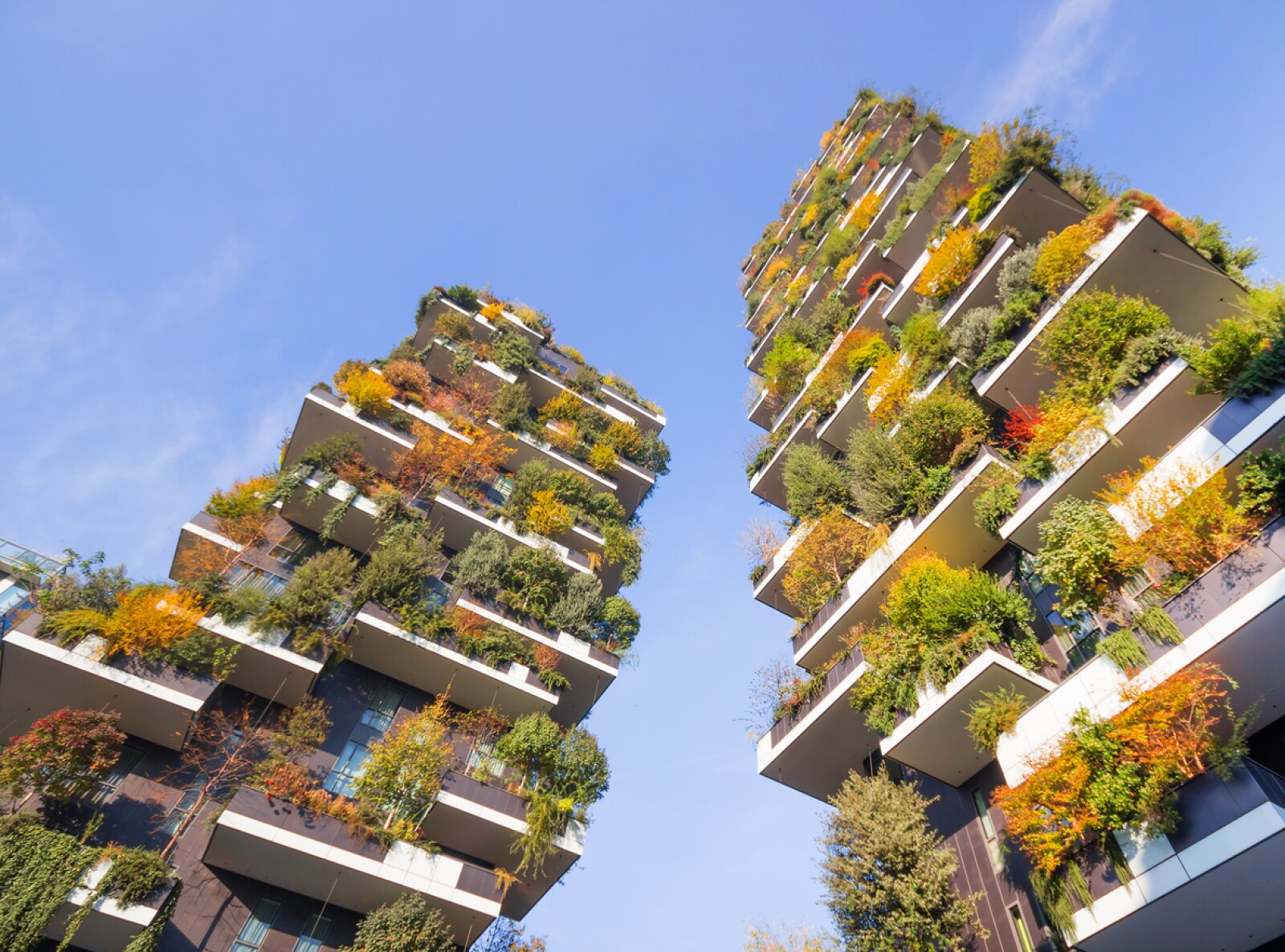 Este arquitecto transforma las ciudades en 