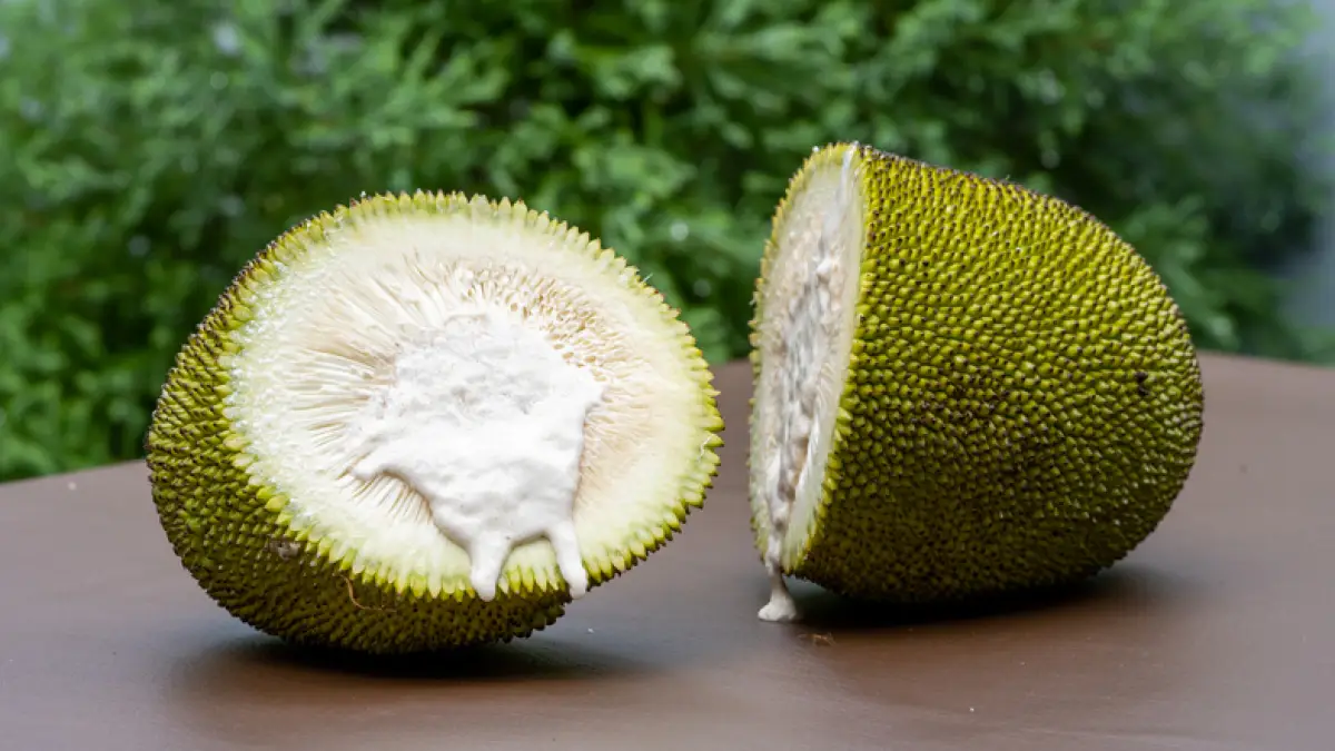 ¡No lo vas a creer! Estos son los alimentos más raros del mundo 
