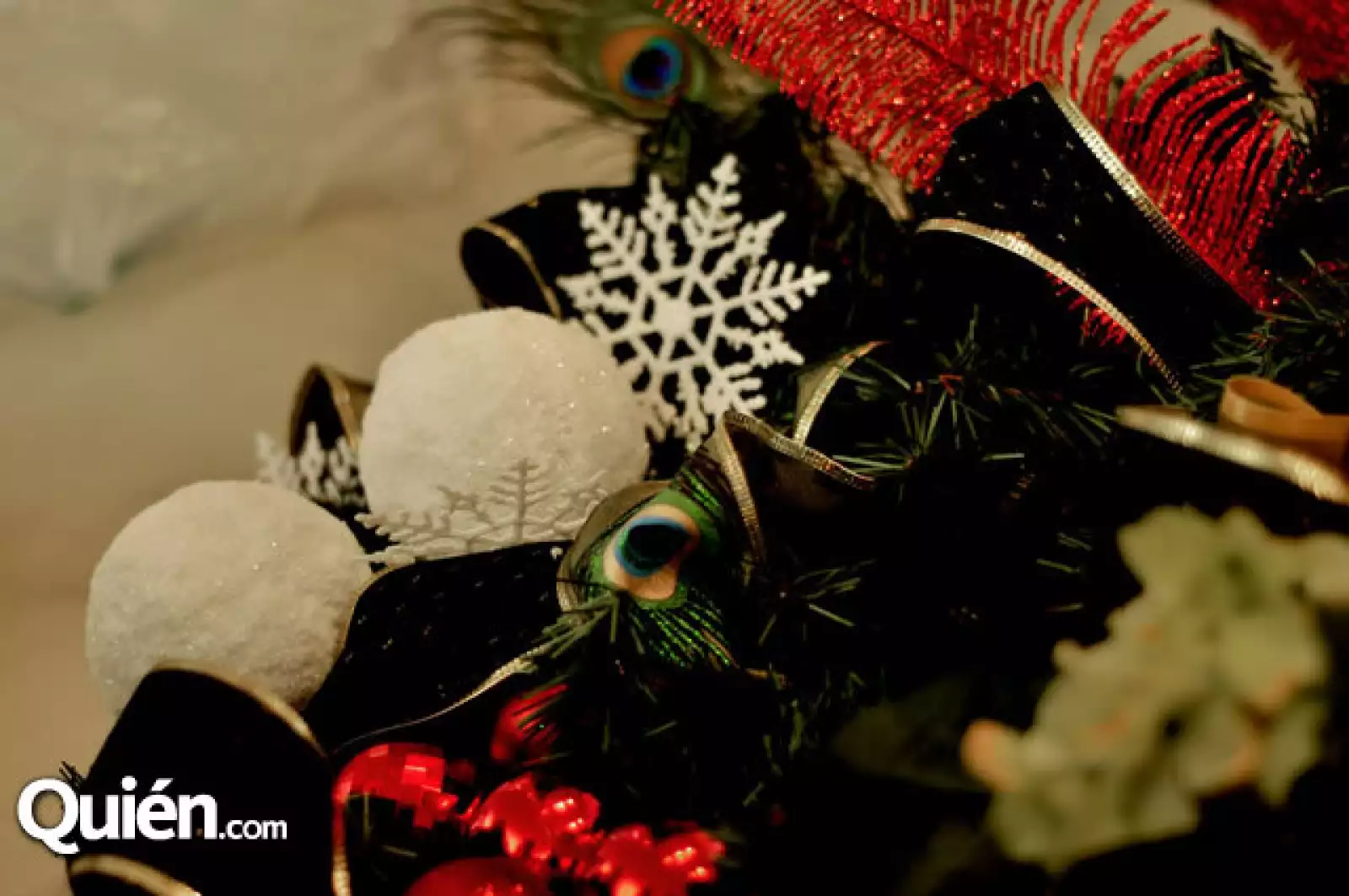 Esthela Villarreal da plática de decoración navideña