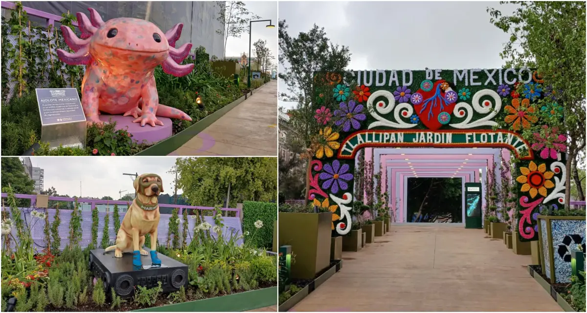 jardin flotante tlalpan.jpg