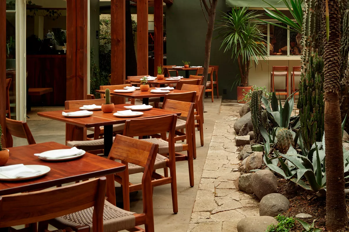 Botánico, un restaurante imperdible en la Condesa