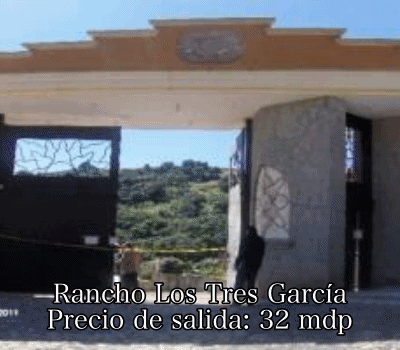 subasta inmuebles AMLO 