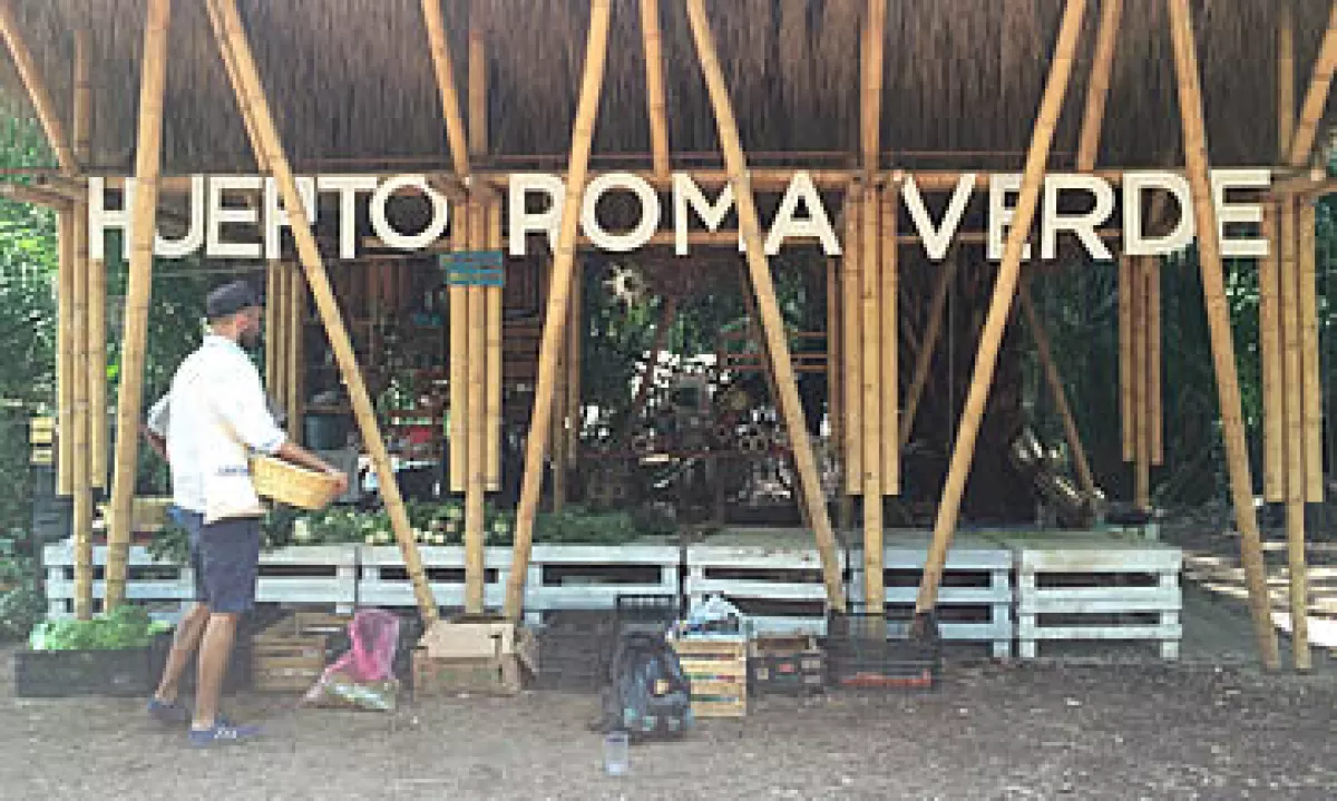 En el Huerto Roma Verde se puede comprar alimentos orgánicos, que los voluntarios producen ahí mismo. (Foto: Carmen Murillo )