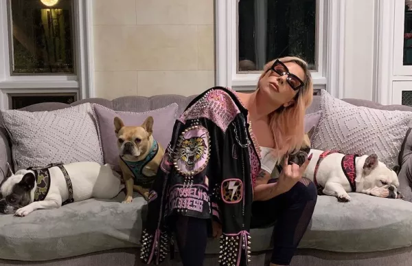 lady-gaga-perros.jpg