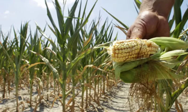 Manns fue el único analista sondeado por Reuters que pronosticó un precio por encima de 8 dólares (Foto: AP)