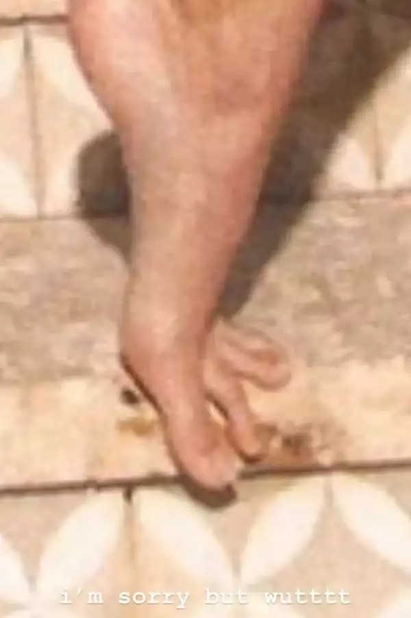 kylie-jenner-instagram-pies