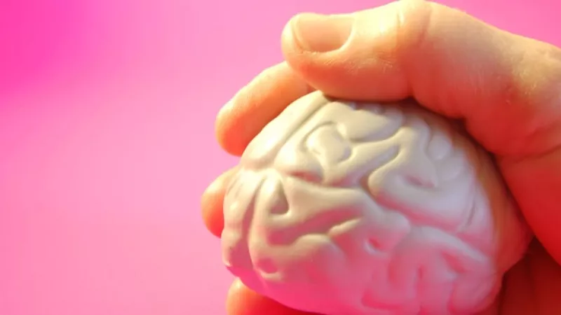 El ?sexto sentido? de las mujeres es más fuerte ya que ellas utilizan los dos hemisferios del cerebro para procesar la información.