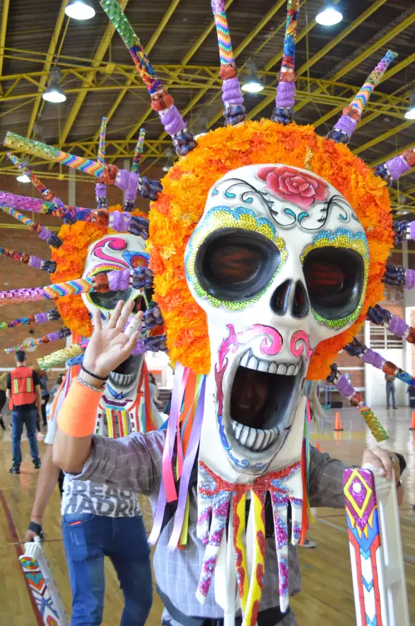 Aspecto de los ensayos 