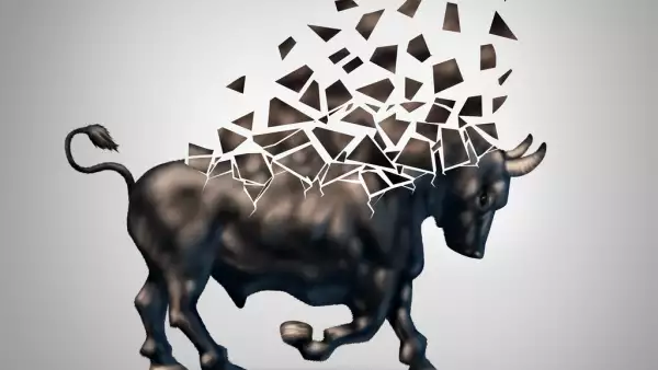 Fragile Bull Market
