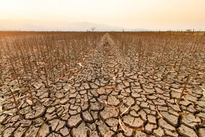 agricultura y cambio climatico