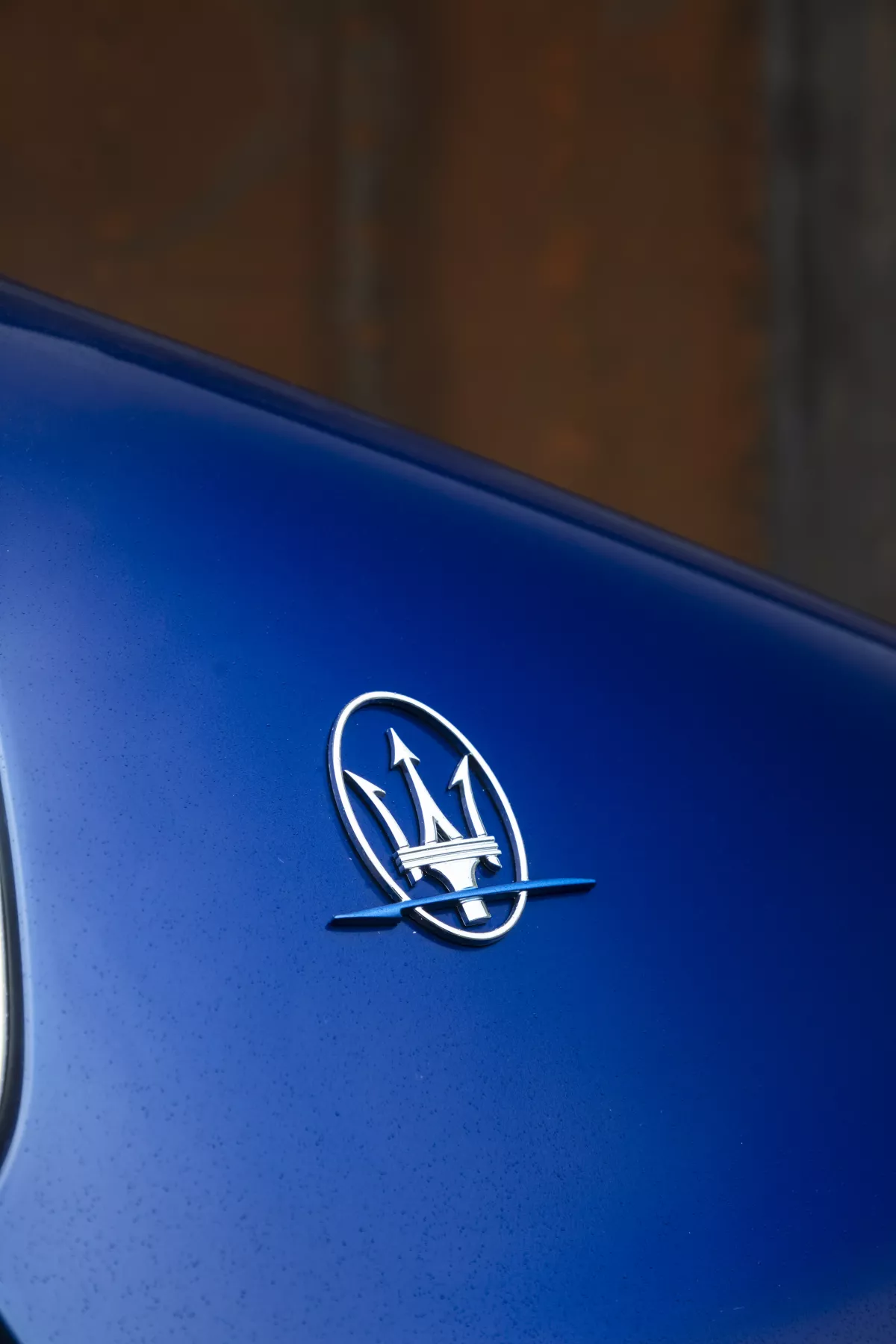 Ghibli_Hybrid (11).jpg