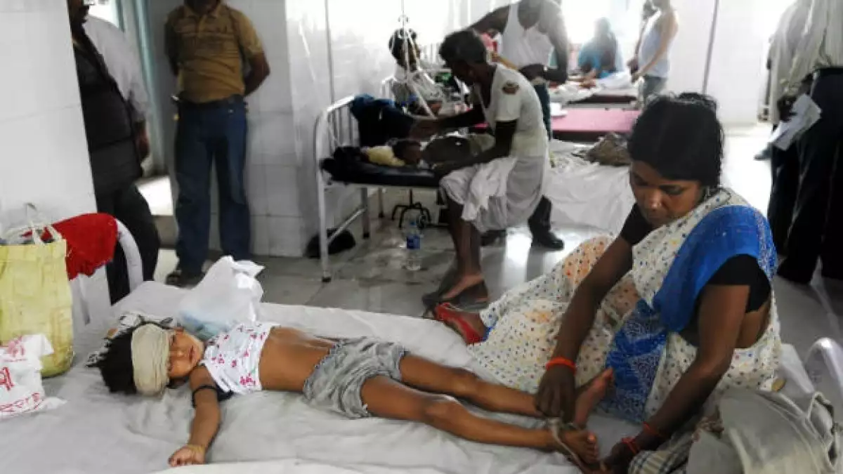India - brote de encefalitis