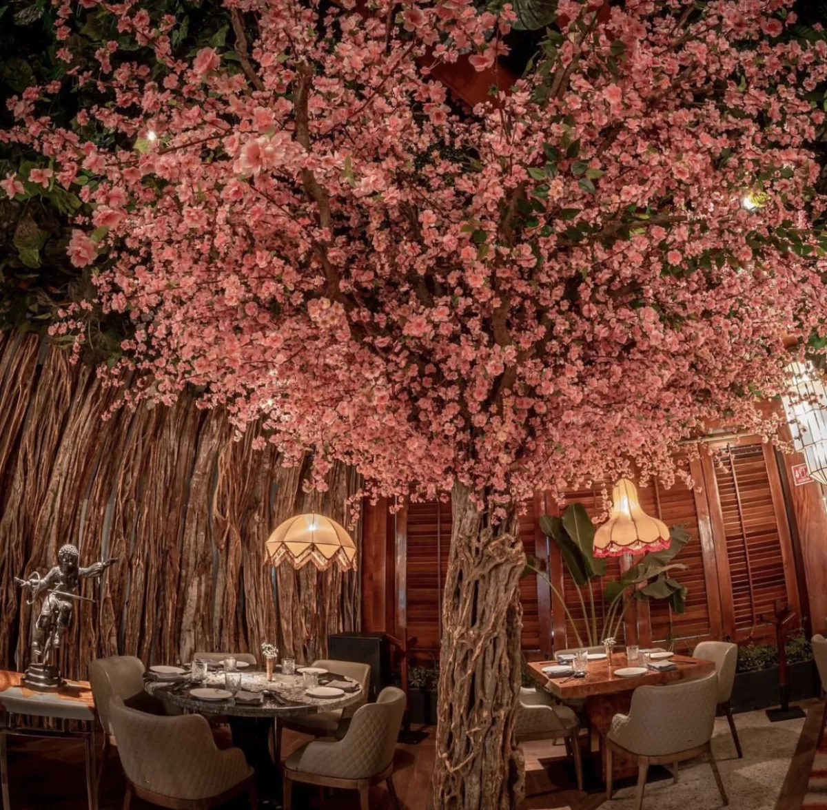 Azia Guadalajara: el lugar perfecto para una cena japonesa 
