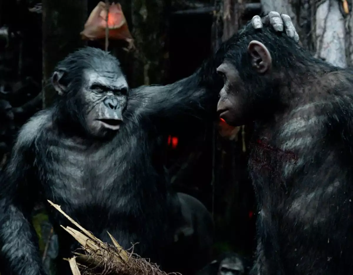 planeta de los simios