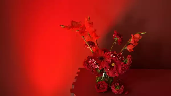 Ardiente, color del año de comex