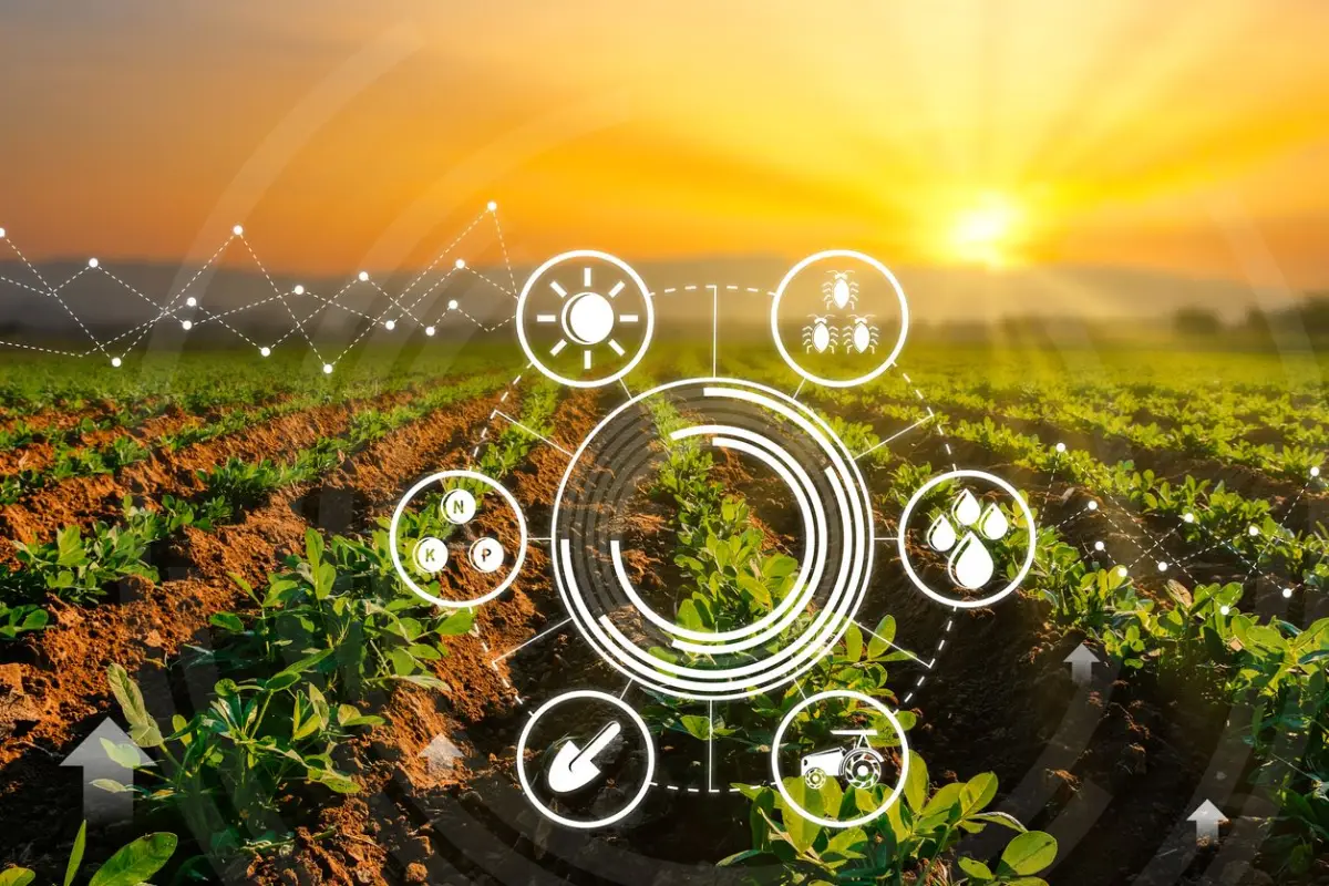 Desafíos y alternativas para el sector agrícola mexicano