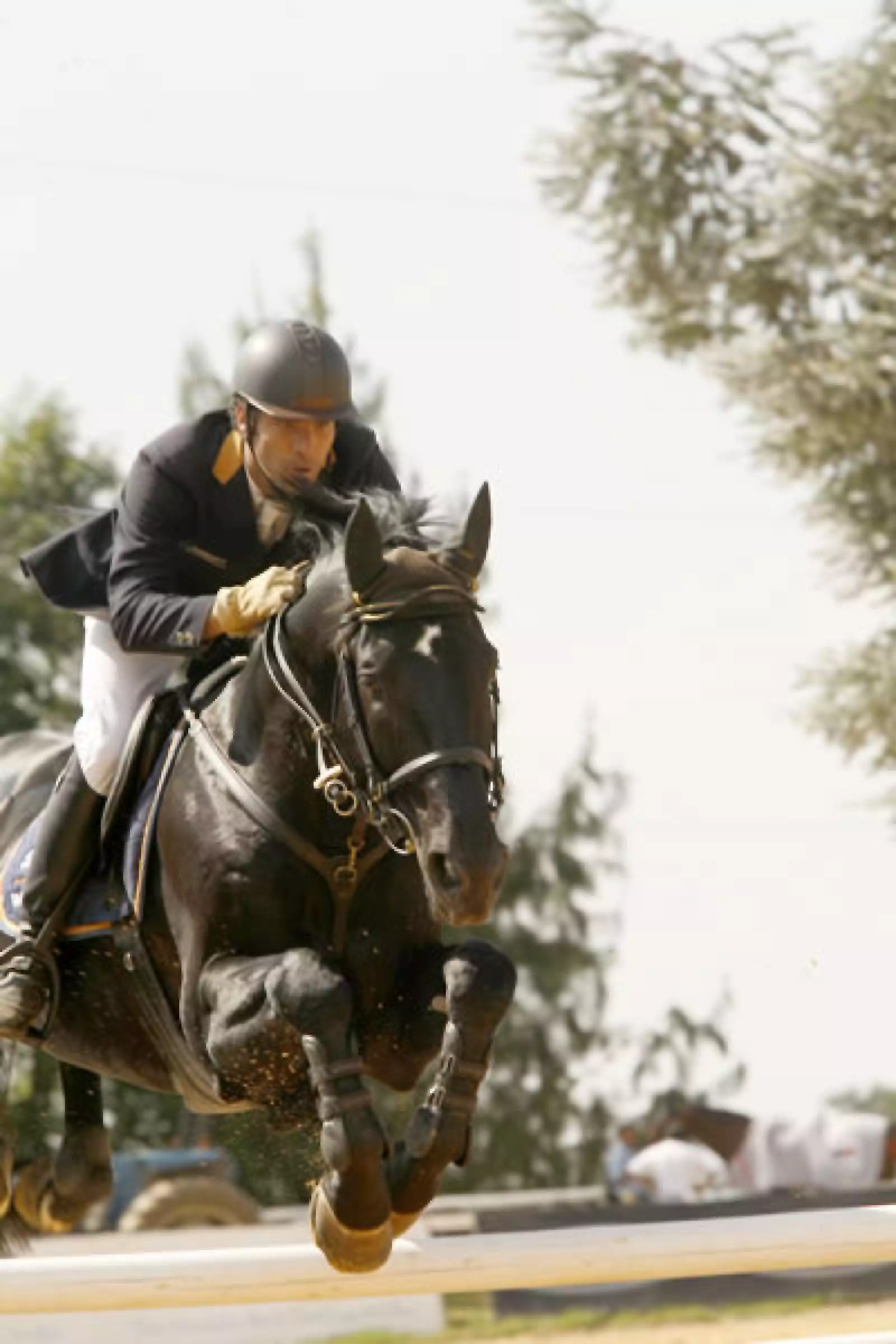 Peyrelonge poresentado por Scappino