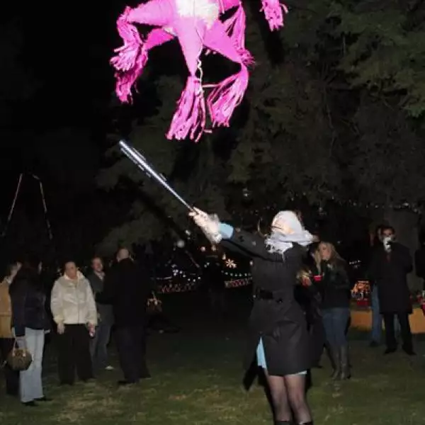 Posada Alejandro Garza