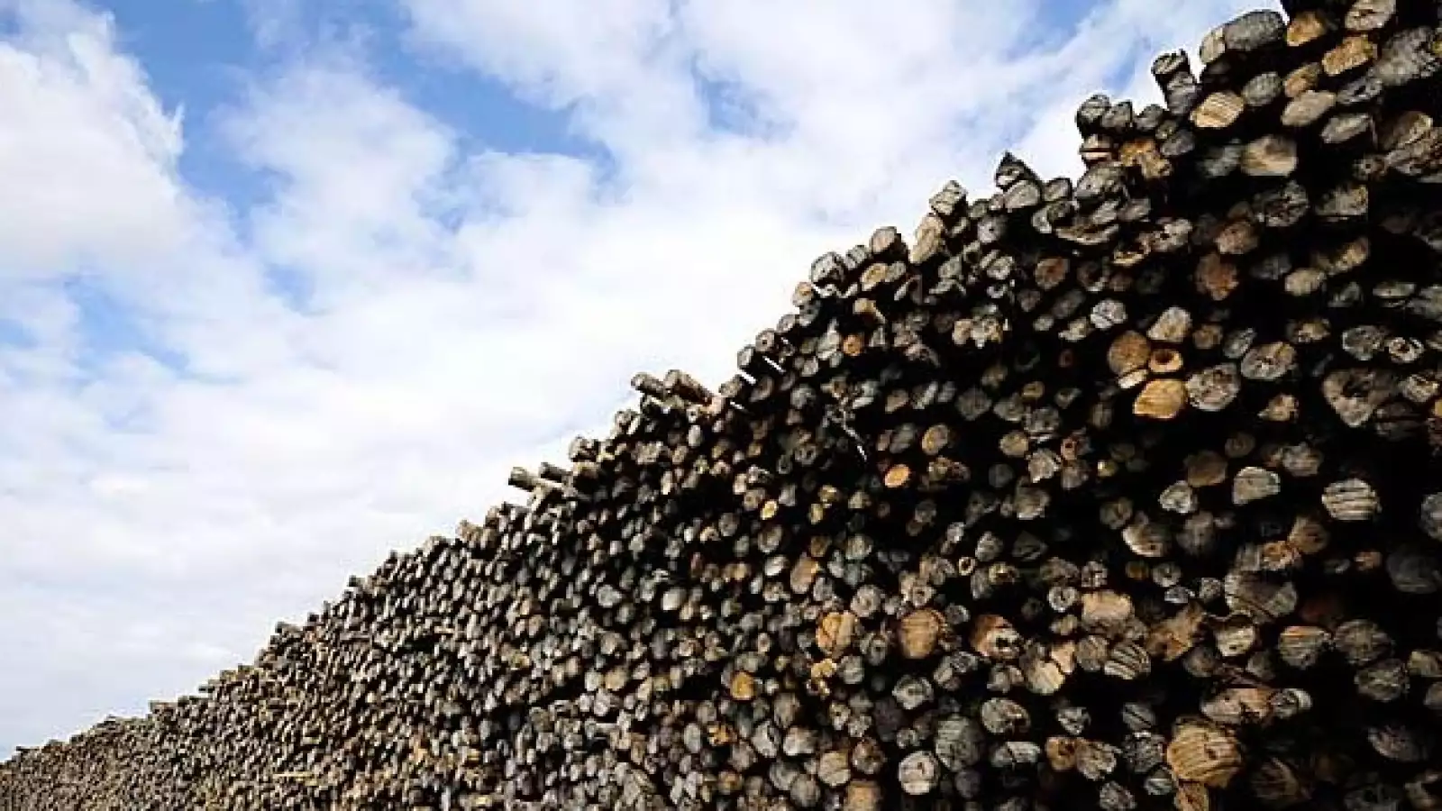 arenas petrolíferas07