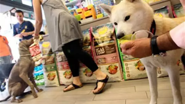 El helado para perros es servido en un vaso. (Foto: AP)