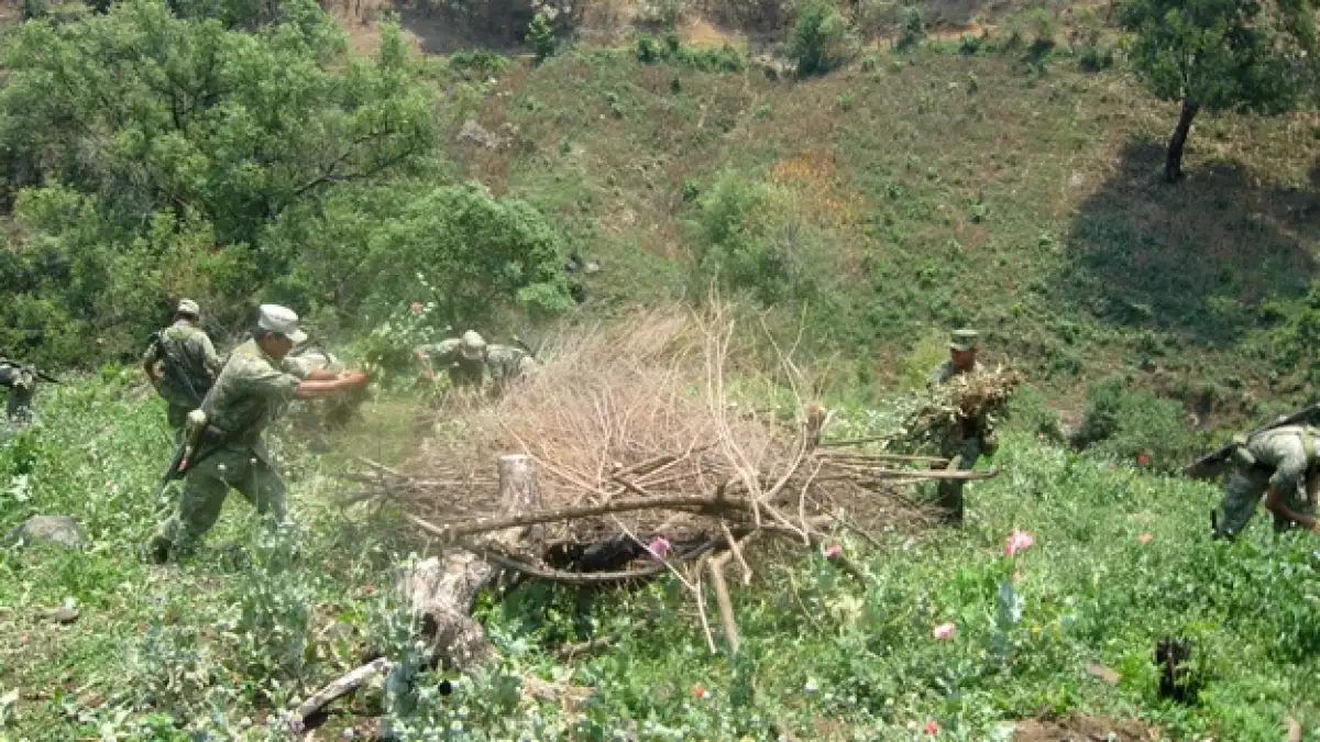 Ejército Guerrero droga