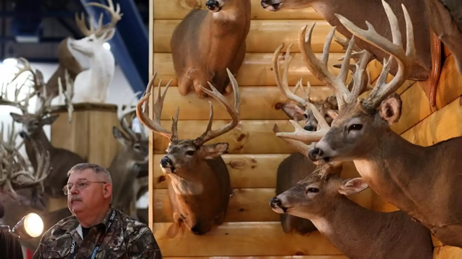 Houston armas expo feria 5