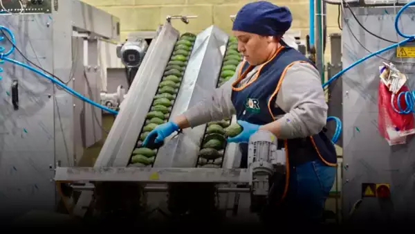 La revisión agro del T-MEC se da en medio de la caída de las exportaciones de México a EU