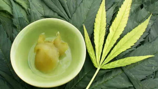 marihuana medicinal