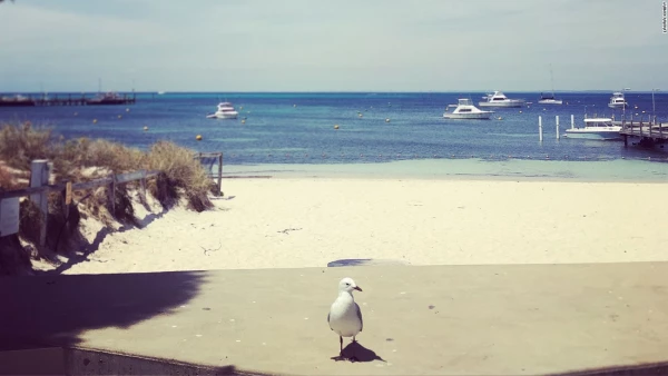 Rottnest Island