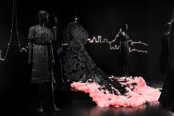 dior lady gaga