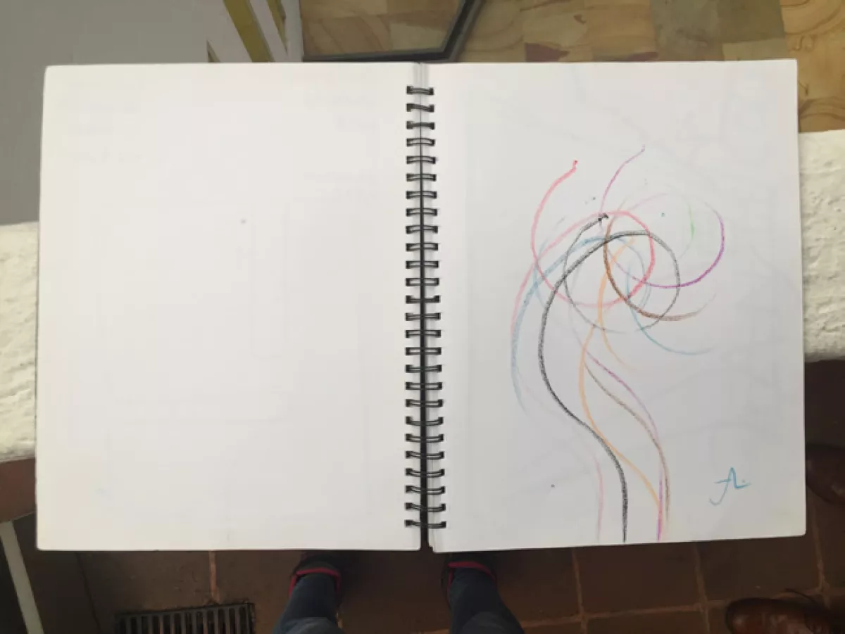 La firma de Adriana Varejão en la Bitácora Gilardi