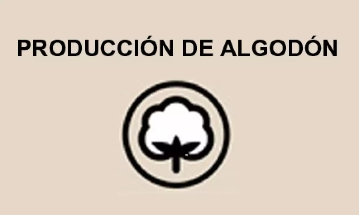 Algod�n Info.