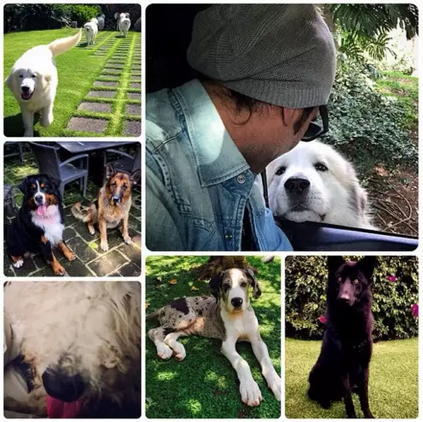 El cantante es todo un doglover.