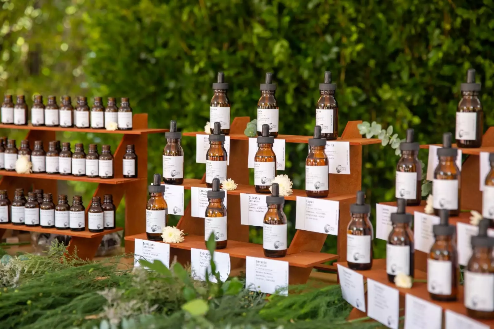 inter 31 mujeres (6).jpg