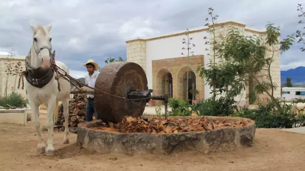 Mezcalera Oro de Oaxaca