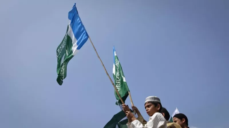 un niño con una bandera en un protesta