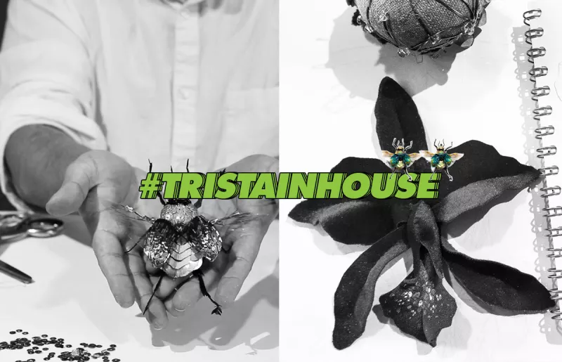 Trista-cursos-en-linea