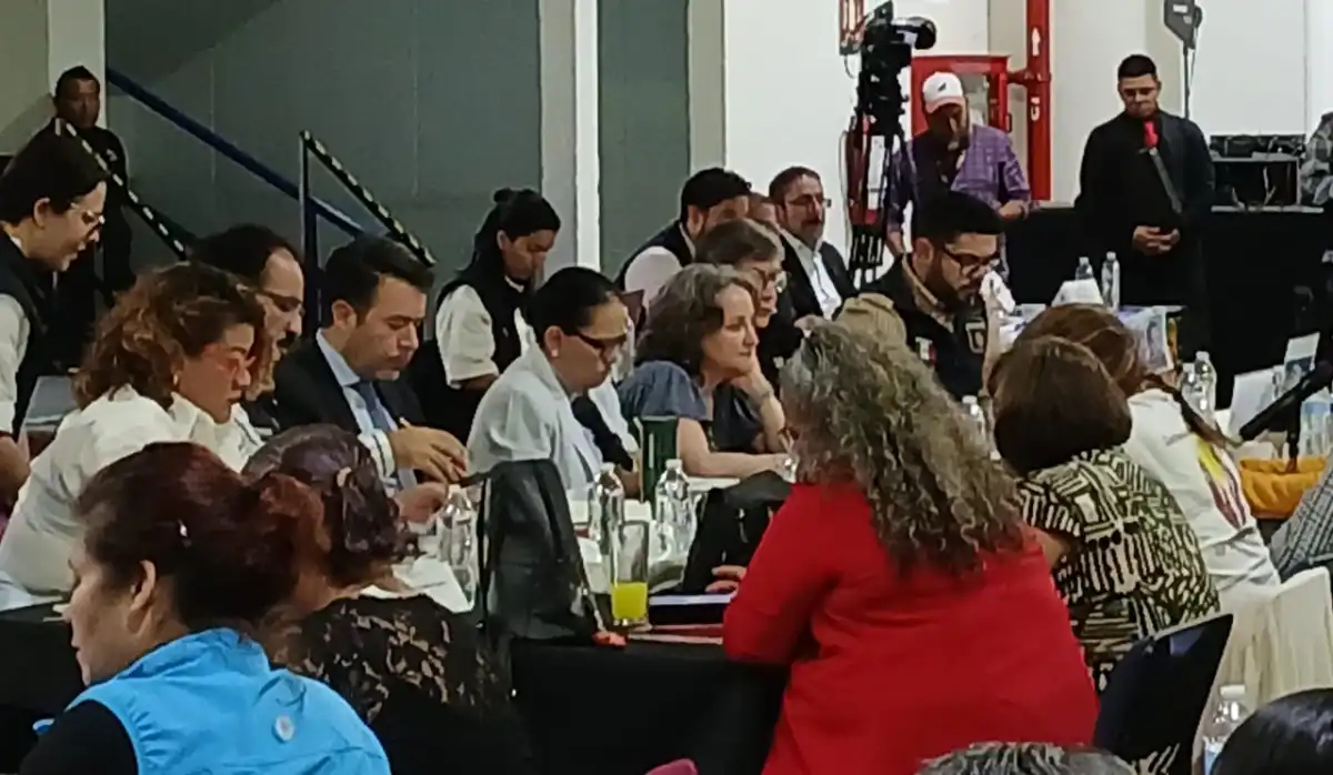 colectivos-rosa-icela-rodriguez.jpg