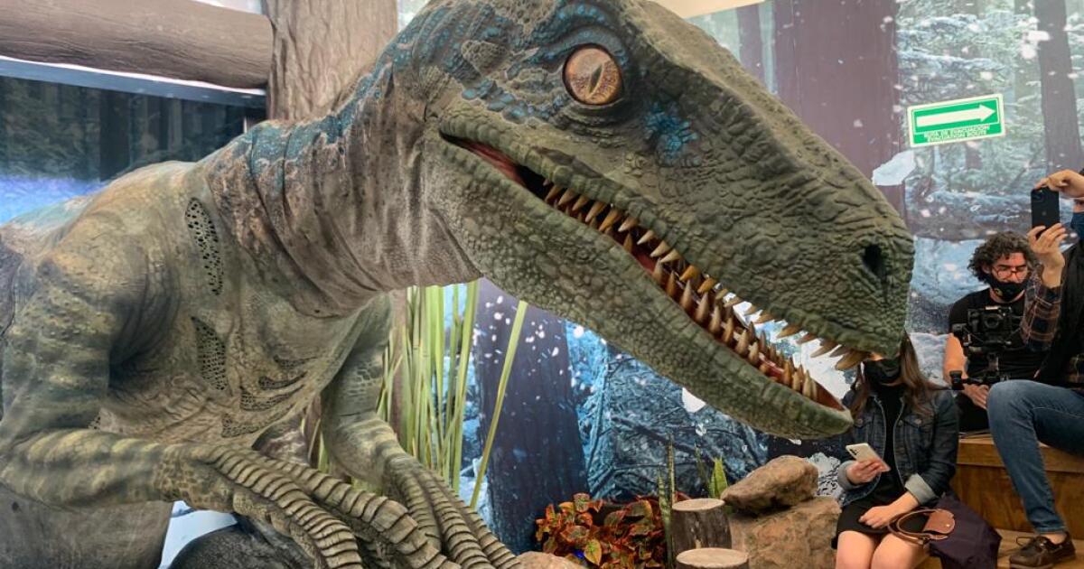 Recreating the Jurassic World jungle is Walmart’s latest marketing strategy Recreating the Jurassic World jungle is Walmart’s latest marketing strategy