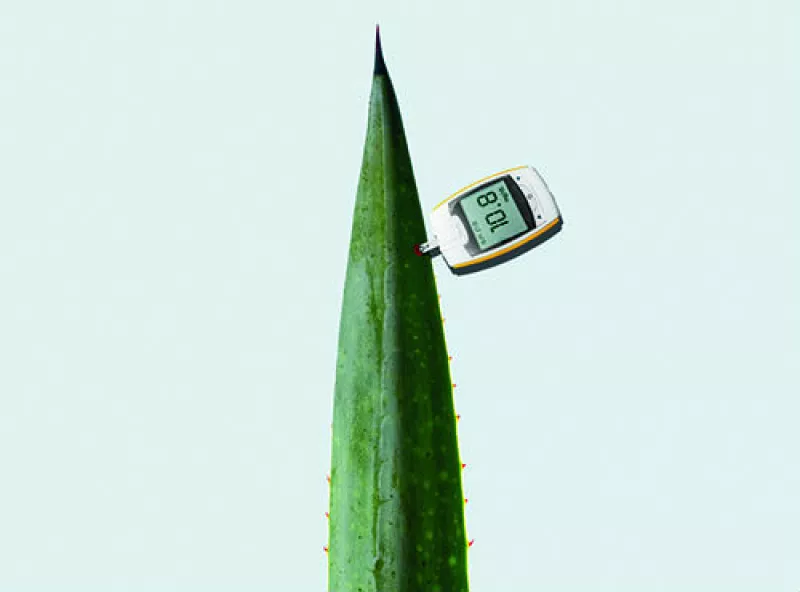 imagen de tequila transg�nico