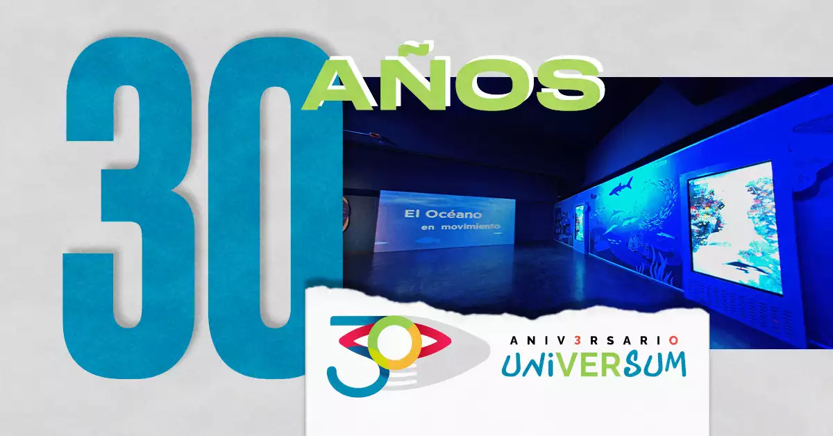Universum