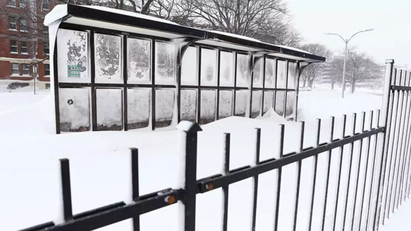 Nevadas en el noreste de EU