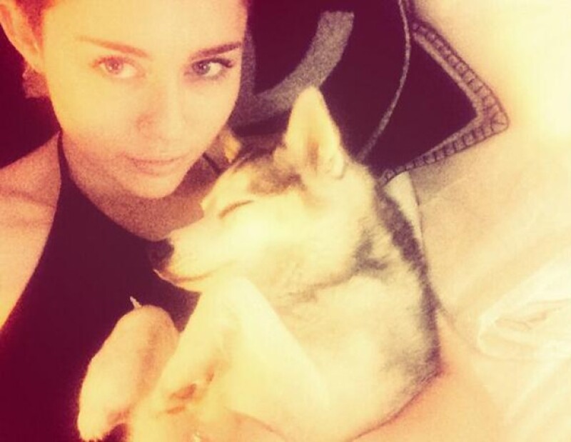 Miley solía compartir fotos de su perro Floyd en Twitter e Instagram.