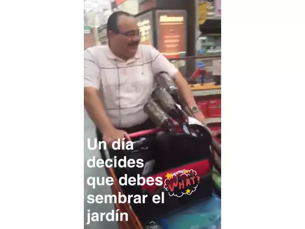 Incursión en la jardinería