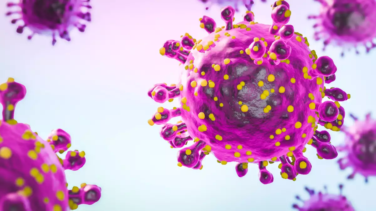 Virus de Oropouche que causa la fiebre de Oropouche, una enfermedad emergente de las Américas, representación 3d